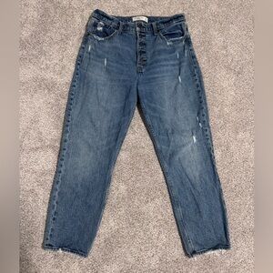 Abercrombie & Fitch The Mom High Rise Jean, Size 29/8 Short